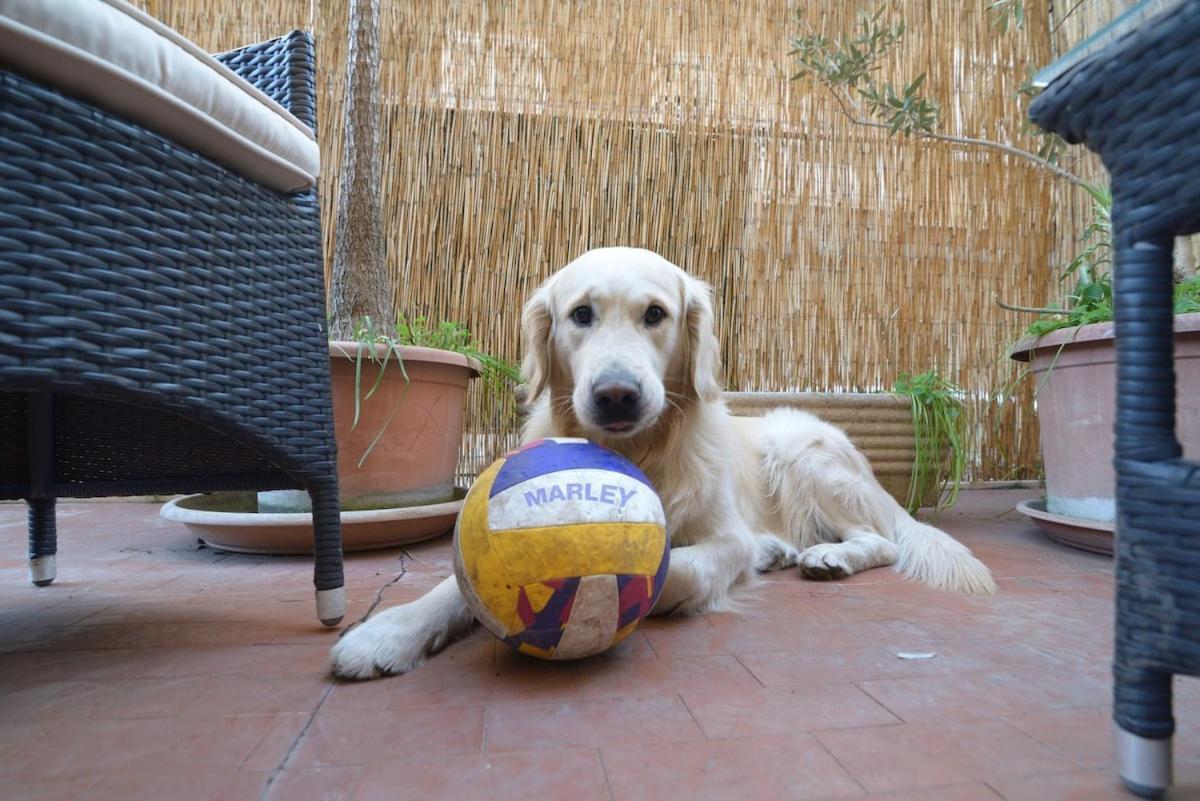 Apartamento San Pietro - L'angolo Di Marley *